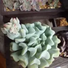 ユーザー画像
