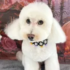 ユーザー画像
