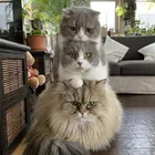 ユーザー画像