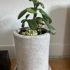 ユーザー画像