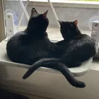 ユーザー画像