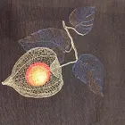 ユーザー画像