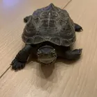 ユーザー画像