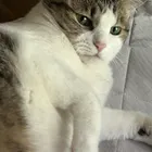 ユーザー画像