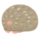 ユーザー画像