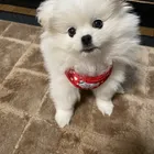 ユーザー画像