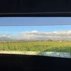 ユーザー画像