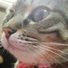 ユーザー画像