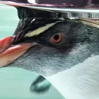 ユーザー画像