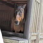 ユーザー画像