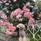 ユーザー画像