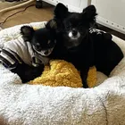 ユーザー画像