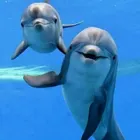 ユーザー画像