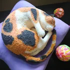 ユーザー画像