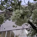 ユーザー画像