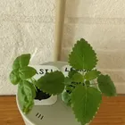 ユーザー画像