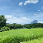 ともたけ