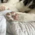 ユーザー画像