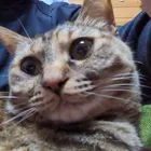 ユーザー画像