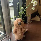 ユーザー画像