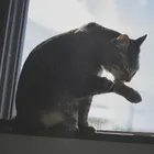 ユーザー画像