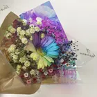 あられちゃん