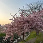ユーザー画像