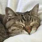 ユーザー画像