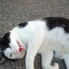 ユーザー画像
