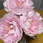 ユーザー画像