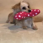 ユーザー画像