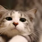 ユーザー画像