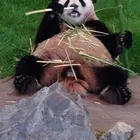ユーザー画像