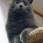 ユーザー画像