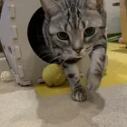 ユーザー画像