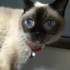 ユーザー画像