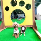 ユーザー画像