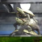 ユーザー画像