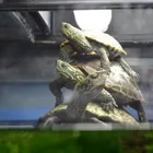 ユーザー画像