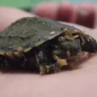 ユーザー画像