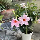 ユーザー画像