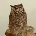 ユーザー画像
