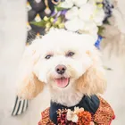 ユーザー画像