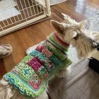 ユーザー画像