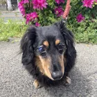 ユーザー画像