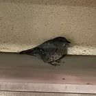 ユーザー画像