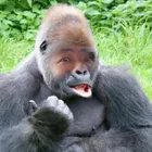 ユーザー画像