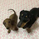 ユーザー画像