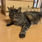 ユーザー画像