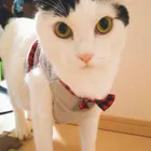 ユーザー画像